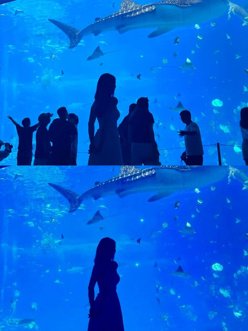 图源🍠：蔡丸子